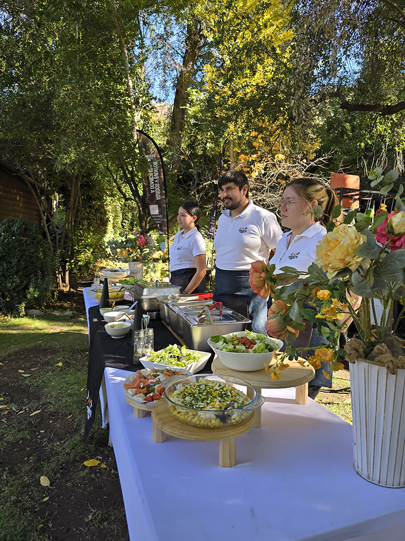 Montaje profesional de asado a domicilio
